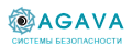 Agava